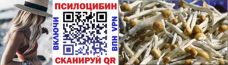 Псилоцибиновые грибы GOLDEN TEACHER Боровск